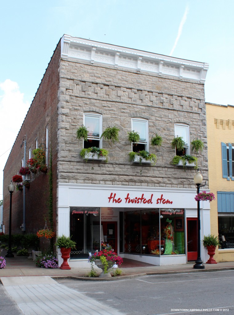 The Twisted Stem The Twisted Stem